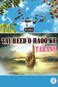 Allah Hi Hai Dastageer