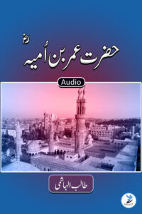 Amr Bin Umayya