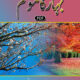 Bahar ka Mousam
