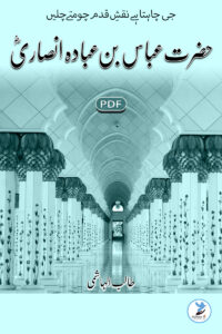 Abbas Bin Abada Ansari