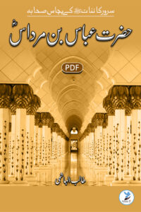 Abbas Bin Mirdas
