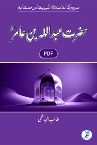 Abdullah Bin Aamer