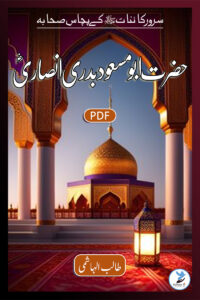 Abu Masood Badri Ansari