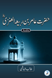 Amair Bin Rabea Al Anazi