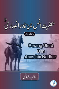 Anas Bin Nadar Ansari