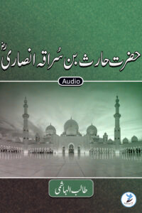 Haris Bin Suraqa Ansari